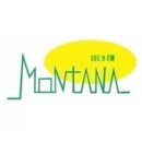 Rádio Educativa Montana FM 100.1 Monte Belo / MG - Brasil