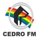 Rádio Cedro FM 90.7 São José do Cedro / SC - Brasil