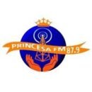 Rádio Princesa FM 87.9 Ponta Grossa / PR - Brasil