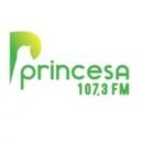 Rádio Princesa 107.3 FM Rodeio / SC - Brasil