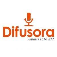 Rádio Difusora Salinas 1310 AM Salinas / MG - Brasil